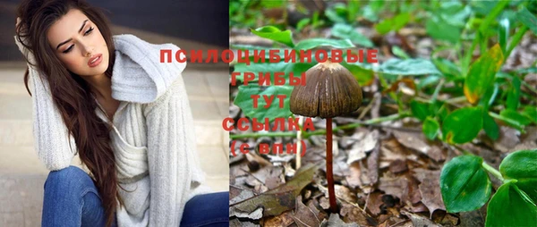 спайс Алексеевка