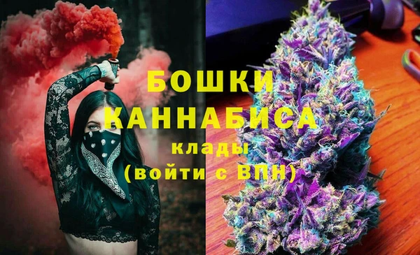spice Алексин