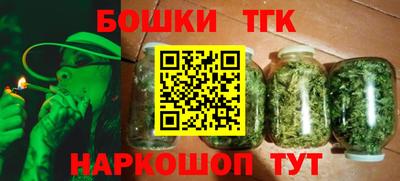 дживик Камышлов