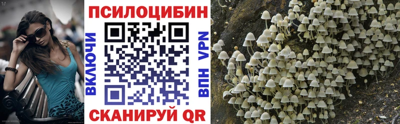 Галлюциногенные грибы мицелий  Первоуральск 